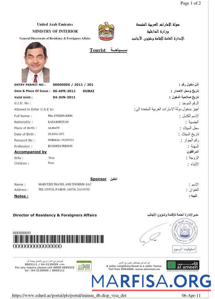 Printable Uae e visa sample